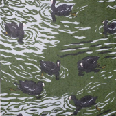 Meerkoeten, 15-20 cm, 2006