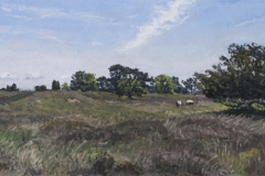 Drouwense Hei, Drenthe, 2014