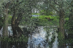 Nijmegen, Bisonbaai, 2016