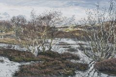 Tersch.-Duinen-Midsland-klein-scaled