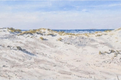Terschelling, duinen, verkocht