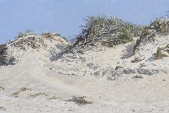 Texel-Slufter-april-2019-kl-scaled