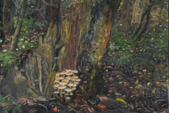 Vorden, bos, 2016