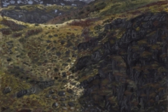 Noorwegen, Vesteralen, 2008, verkocht
