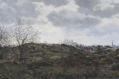 Terschelling, Koegelwieck, 2017