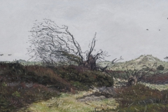 Terschelling, 2015