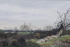 Terschelling, 2014, verkocht