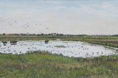 texel-01