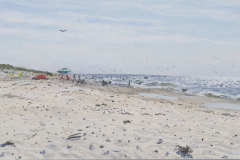 texel-02-300dpi