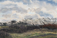 Texel, Muy, 2016