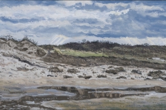 Texel, Slufter, 2014
