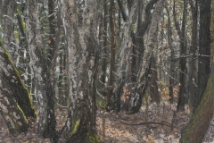 Vorden, 2018