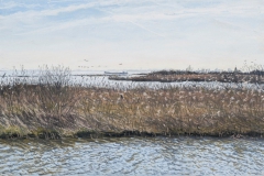 Waterland, 2017