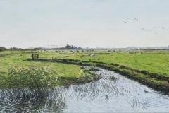 Waterland, 2017